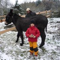 léo et dédé
